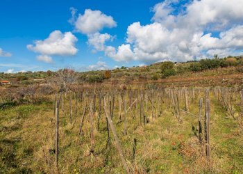 Vista delle montagne - Terreno agricolo Contrada Guardia Majo
 
snc, Biancavilla - foto 8