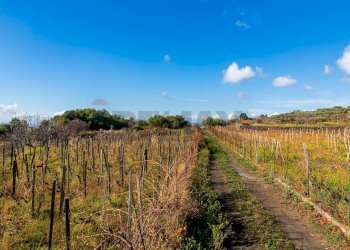 Vista delle montagne - Terreno agricolo Contrada Guardia Majo
 
snc, Biancavilla - foto 9