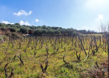 Vista delle montagne - Terreno agricolo Contrada Guardia Majo
 
snc, Biancavilla - foto 11
