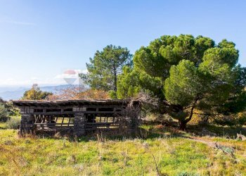 Giardino - Terreno agricolo Contrada Guardia Majo
 
snc, Biancavilla - foto 13