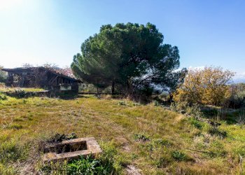 Giardino - Terreno agricolo Contrada Guardia Majo
 
snc, Biancavilla - foto 14