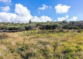 Vista delle montagne - Terreno agricolo Contrada Guardia Majo
 
snc, Biancavilla - foto 15