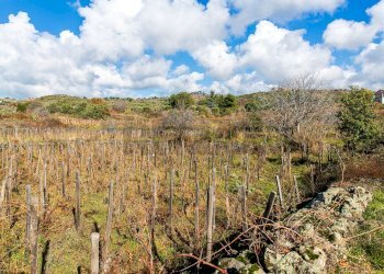 Vista delle montagne - Terreno agricolo Contrada Guardia Majo
 
snc, Biancavilla - foto 17