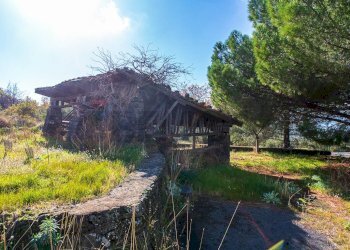 Giardino - Terreno agricolo Contrada Guardia Majo
 
snc, Biancavilla - foto 18