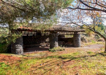 Giardino - Terreno agricolo Contrada Guardia Majo
 
snc, Biancavilla - foto 21