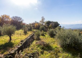 Vista delle montagne - Terreno agricolo Contrada Guardia Majo
 
snc, Biancavilla - foto 22
