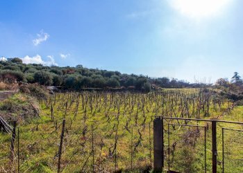 Vista delle montagne - Terreno agricolo Contrada Guardia Majo
 
snc, Biancavilla - foto 27
