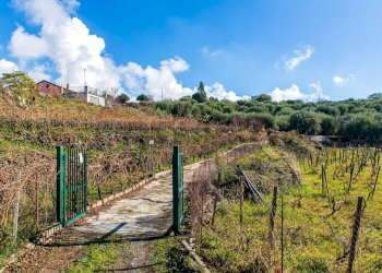 Vista delle montagne - Terreno agricolo Contrada Guardia Majo
 
snc, Biancavilla - foto 28