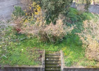 Giardino - Casa indipendente Via Francesco Messina
 
30, Linguaglossa - foto 9