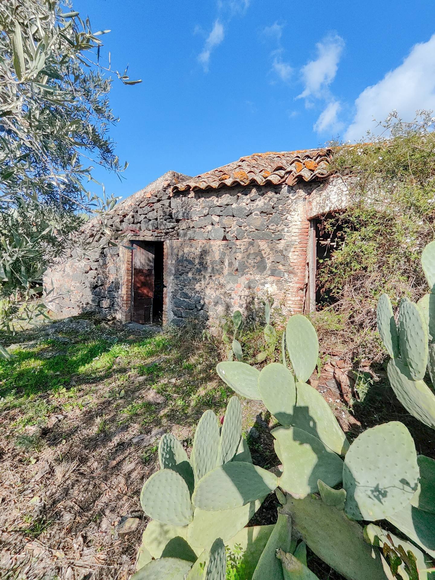 Vista delle montagne - Casa indipendente Contrada Acquarossa (Strada Provinciale 56ii)
 
snc, Belpasso - foto 3