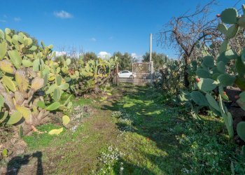 Giardino - Casa indipendente Contrada Acquarossa (Strada Provinciale 56ii)
 
snc, Belpasso - foto 9