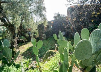 Giardino - Casa indipendente Contrada Acquarossa (Strada Provinciale 56ii)
 
snc, Belpasso - foto 10