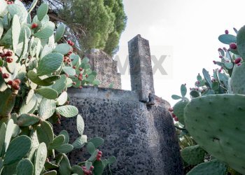 Giardino - Casa indipendente Contrada Acquarossa (Strada Provinciale 56ii)
 
snc, Belpasso - foto 12