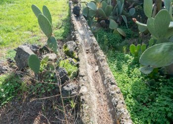 Giardino - Casa indipendente Contrada Acquarossa (Strada Provinciale 56ii)
 
snc, Belpasso - foto 14