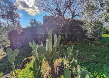 Giardino - Casa indipendente Contrada Acquarossa (Strada Provinciale 56ii)
 
snc, Belpasso - foto 15