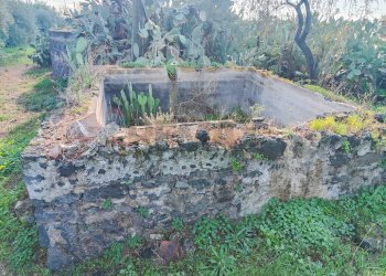 Giardino - Casa indipendente Contrada Acquarossa (Strada Provinciale 56ii)
 
snc, Belpasso - foto 16