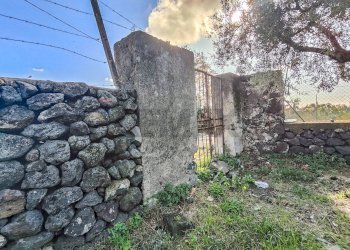 Giardino - Casa indipendente Contrada Acquarossa (Strada Provinciale 56ii)
 
snc, Belpasso - foto 17