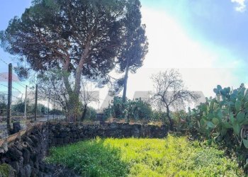 Giardino - Casa indipendente Contrada Acquarossa (Strada Provinciale 56ii)
 
snc, Belpasso - foto 21