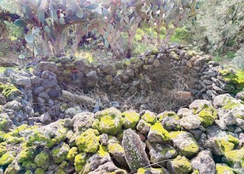 Giardino - Casa indipendente Contrada Acquarossa (Strada Provinciale 56ii)
 
snc, Belpasso - foto 24