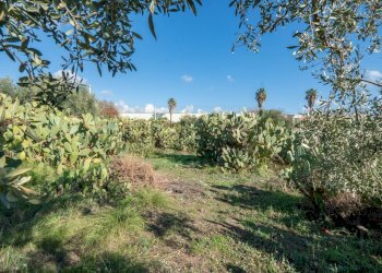 Giardino - Casa indipendente Contrada Acquarossa (Strada Provinciale 56ii)
 
snc, Belpasso - foto 31