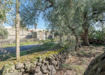 Giardino - Casa indipendente Contrada Acquarossa (Strada Provinciale 56ii)
 
snc, Belpasso - foto 34