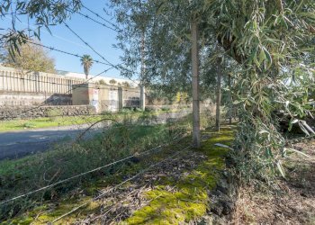 Giardino - Casa indipendente Contrada Acquarossa (Strada Provinciale 56ii)
 
snc, Belpasso - foto 35