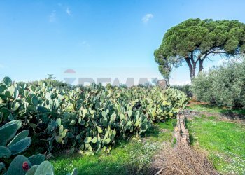 Giardino - Casa indipendente Contrada Acquarossa (Strada Provinciale 56ii)
 
snc, Belpasso - foto 40