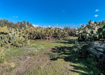 Giardino - Casa indipendente Contrada Acquarossa (Strada Provinciale 56ii)
 
snc, Belpasso - foto 41