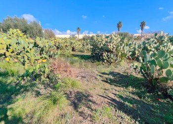 Giardino - Casa indipendente Contrada Acquarossa (Strada Provinciale 56ii)
 
snc, Belpasso - foto 45
