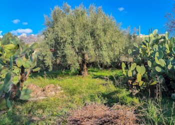 Giardino - Casa indipendente Contrada Acquarossa (Strada Provinciale 56ii)
 
snc, Belpasso - foto 48