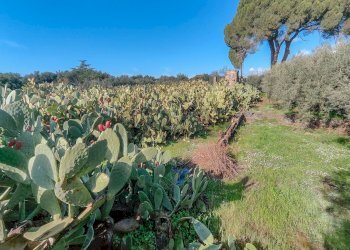Non correlato - Casa indipendente Contrada Acquarossa (Strada Provinciale 56ii)
 
snc, Belpasso - foto 54