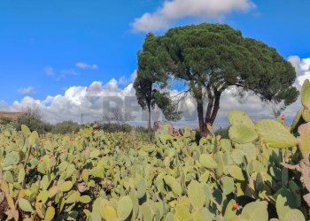 Vista delle montagne - Casa indipendente Contrada Acquarossa (Strada Provinciale 56ii)
 
snc, Belpasso - foto 55