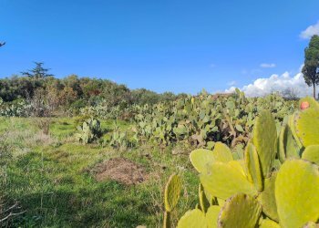 Vista delle montagne - Casa indipendente Contrada Acquarossa (Strada Provinciale 56ii)
 
snc, Belpasso - foto 56