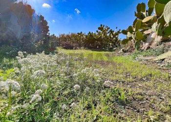 Giardino - Casa indipendente Contrada Acquarossa (Strada Provinciale 56ii)
 
snc, Belpasso - foto 61