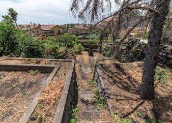 Giardino - Casa indipendente VIA MAURI
 
3, Aci Bonaccorsi - foto 31