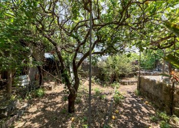 Giardino - Casa indipendente VIA MAURI
 
3, Aci Bonaccorsi - foto 37