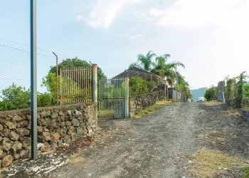 Giardino - Rustico via Carini
 
s/n, Acireale - foto 3