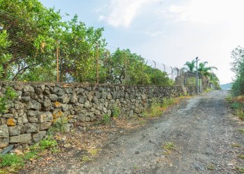 Giardino - Rustico via Carini
 
s/n, Acireale - foto 4