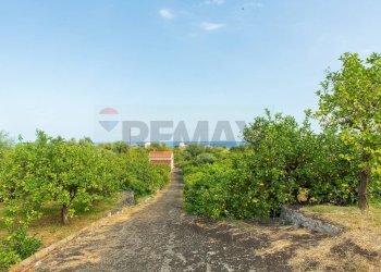 Giardino - Rustico via Carini
 
s/n, Acireale - foto 8