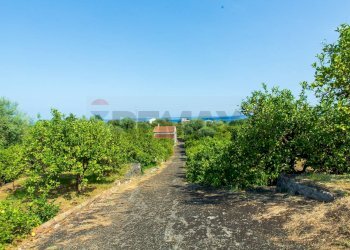 Giardino - Rustico via Carini
 
s/n, Acireale - foto 9