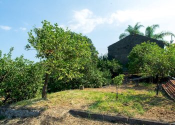 Giardino - Rustico via Carini
 
s/n, Acireale - foto 10