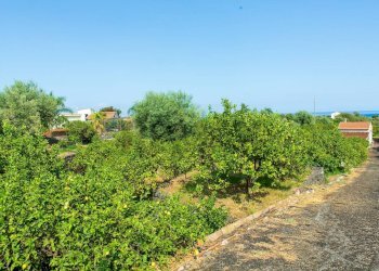 Giardino - Rustico via Carini
 
s/n, Acireale - foto 11