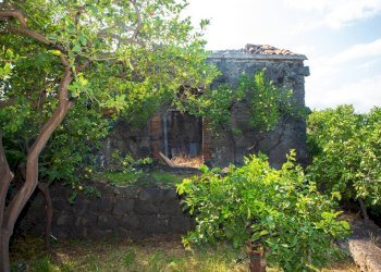 Giardino - Rustico via Carini
 
s/n, Acireale - foto 19