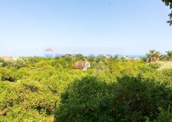 Giardino - Rustico via Carini
 
s/n, Acireale - foto 20