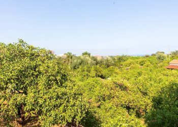 Giardino - Rustico via Carini
 
s/n, Acireale - foto 21