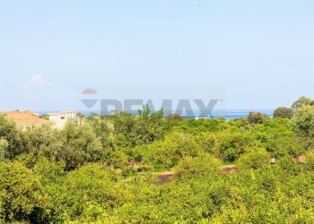 Giardino - Rustico via Carini
 
s/n, Acireale - foto 22