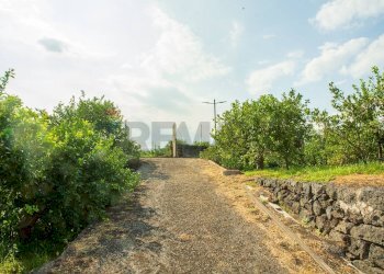 Giardino - Rustico via Carini
 
s/n, Acireale - foto 26