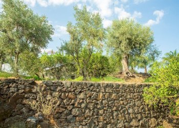 Giardino - Rustico via Carini
 
s/n, Acireale - foto 27