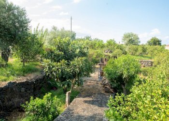 Giardino - Rustico via Carini
 
s/n, Acireale - foto 31
