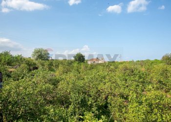 Giardino - Rustico via Carini
 
s/n, Acireale - foto 33